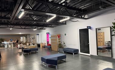 Local Comercial en Renta para Studio de Yoga