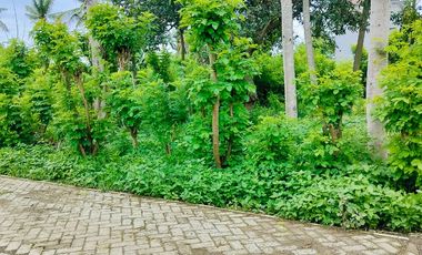 TANAH KAVLING SHM SIAP BANGUN – BULUSAN, KALIPURO