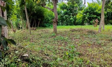 TANAH KAVLING SHM SIAP BANGUN – BULUSAN, KALIPURO