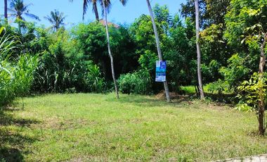 TANAH KAVLING PREMIUM, SHM, POSISI HOOK – BULUSAN, KALIPURO BANYUWANGI