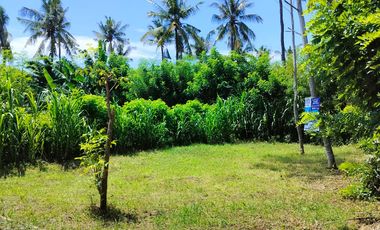 TANAH KAVLING PREMIUM, SHM, POSISI HOOK – BULUSAN, KALIPURO BANYUWANGI
