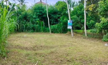 TANAH KAVLING PREMIUM, SHM, POSISI HOOK – BULUSAN, KALIPURO BANYUWANGI