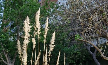 Departamento de lujo junto a campo de golf, El Molino, León, Gto.