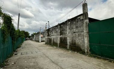 For Lease: 500 sqm - Commercial Lot at Taguig City