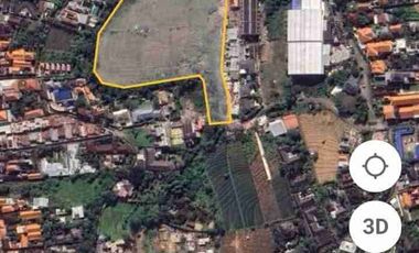 bumbak umalas!! 1.7 hektar tanah di jual murah