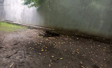 Dijual Rumah 3 Lantai Strategis  Waru,Sidoarjo Luas 175m2 BU!!