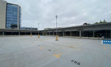 Planta libre, Bosques de Montemar