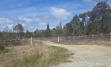 Venta Parcelas Inscritas XI Region a 15 minutos Puerto Varas
