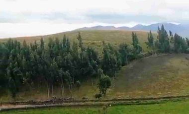 se vende 5 Hectáreas a una hora de Cayambe Pichincha Ecuador Negociable