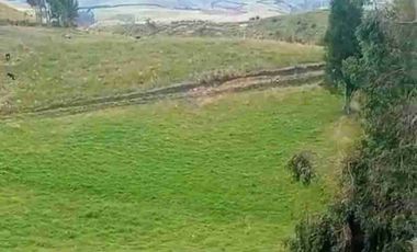 se vende 5 Hectáreas a una hora de Cayambe Pichincha Ecuador Negociable