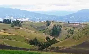 se vende 5 Hectáreas a una hora de Cayambe Pichincha Ecuador Negociable