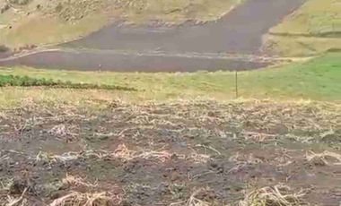 se vende 5 Hectáreas a una hora de Cayambe Pichincha Ecuador Negociable