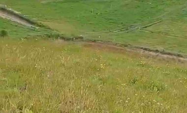 se vende 5 Hectáreas a una hora de Cayambe Pichincha Ecuador Negociable