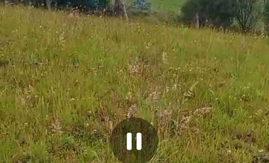se vende 5 Hectáreas a una hora de Cayambe Pichincha Ecuador Negociable