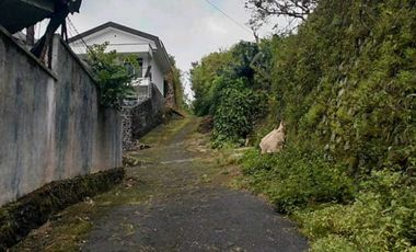 DIJUAL VILA TRETES SEDAP MALAM PRIGEN PASURUAN RON.A3133