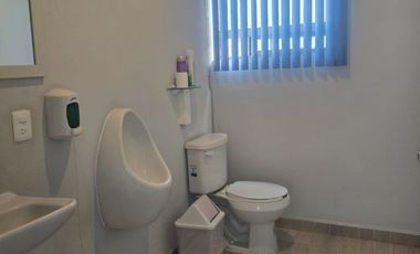 Consultorios en Renta en Colonia Residencial Colón, Toluca