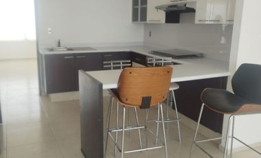 Departamento en renta en Gran Jardín, León