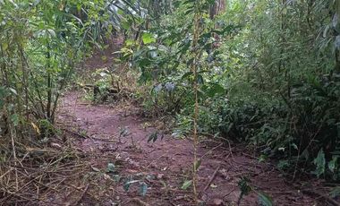 En venta terreno de 2 hectáreas a dos kilómetros de Mindo, con río