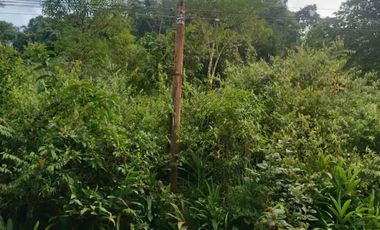 En venta terreno de 2 hectáreas a dos kilómetros de Mindo, con río