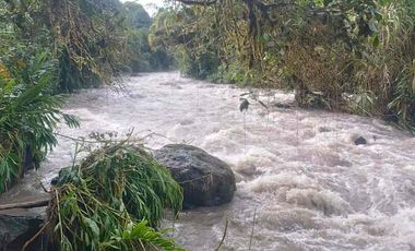 En venta terreno de 2 hectáreas a dos kilómetros de Mindo, con río