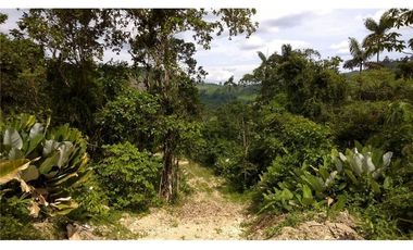 Venta de Finca en Esmeraldas, San Mateo