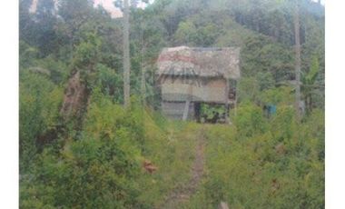 Venta de Finca en Esmeraldas, San Mateo