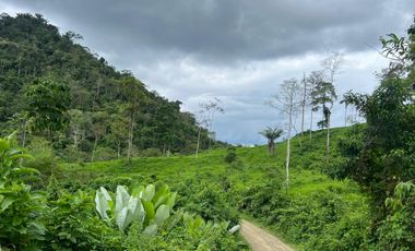 Venta de Finca en Esmeraldas, San Mateo