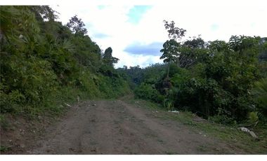 Venta de Finca en Esmeraldas, San Mateo