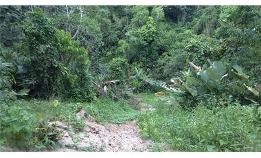 Venta de Finca en Esmeraldas, San Mateo