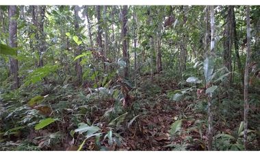 Venta de Finca en Esmeraldas, San Mateo