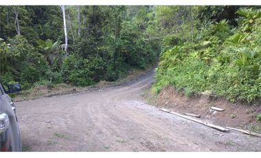 Venta de Finca en Esmeraldas, San Mateo