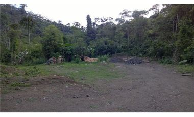Venta de Finca en Esmeraldas, San Mateo