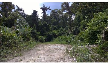 Venta de Finca en Esmeraldas, San Mateo