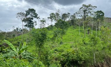 Venta de Finca en Esmeraldas, San Mateo