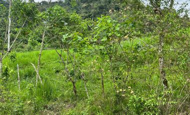 Venta de Finca en Esmeraldas, San Mateo
