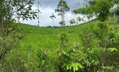 Venta de Finca en Esmeraldas, San Mateo