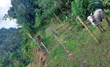 Venta de Finca en Esmeraldas, San Mateo