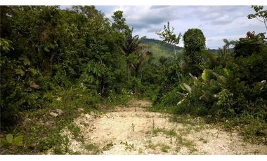 Venta de Finca en Esmeraldas, San Mateo