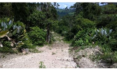 Venta de Finca en Esmeraldas, San Mateo