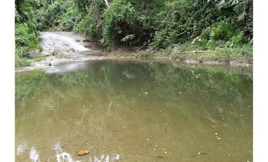 Venta de Finca en Esmeraldas, San Mateo