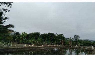 Venta de Finca en San Vicente -Briceño