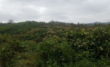 Venta de Finca en San Vicente -Briceño