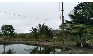 Venta de Finca en San Vicente -Briceño