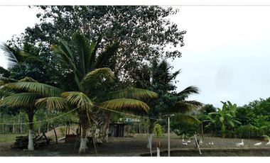 Venta de Finca en San Vicente -Briceño