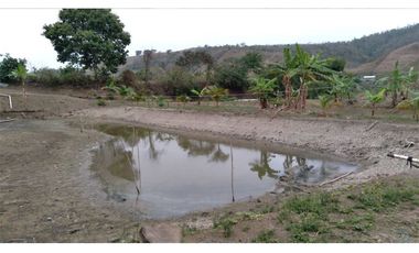 Venta de Finca en San Vicente -Briceño