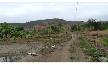 Venta de Finca en San Vicente -Briceño