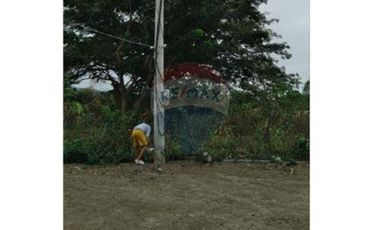 Venta de Finca en San Vicente -Briceño