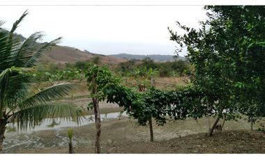 Venta de Finca en San Vicente -Briceño