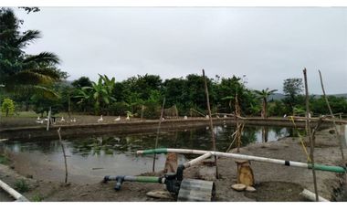 Venta de Finca en San Vicente -Briceño