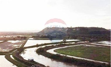 Venta de Camaronera de agua dulce  Tosagua- Manabi